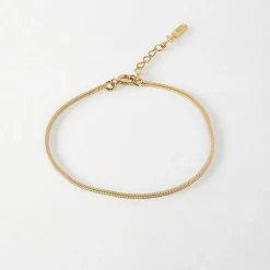 Edge of Ember Anklets | Mini Rolo Anklet - Gold