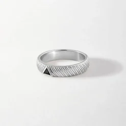 Edge of Ember All Rings | Reflect Signet Ring - Silver