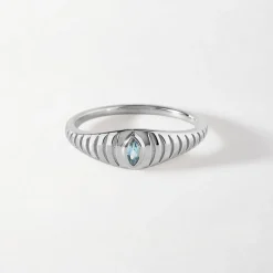 Edge of Ember All Rings | Reflect Signet Ring - Silver